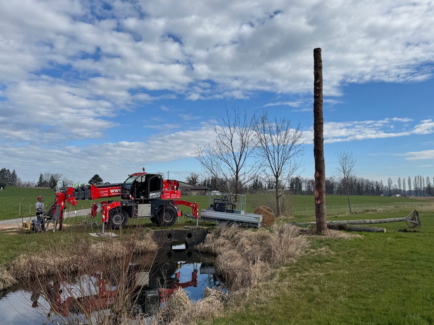 20250320 Storch 07.jpg